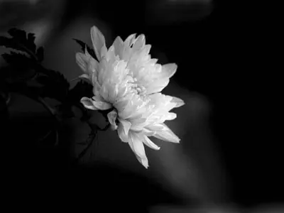 〈부고〉 김용건 선생 소천, 김종인 장인상