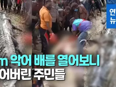 7ｍ 악어 뭍으로 끌어올린 날…마을은 울음바다