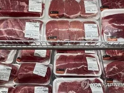 "15년 안에 식탁에서 '고기'가 사라지면" 지구가 산다