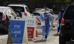 코로나 사망자 증가세도 정체…확진자는 49개주에서 감소