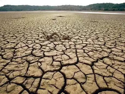 미 서부지역 가뭄 1,200년래 최악