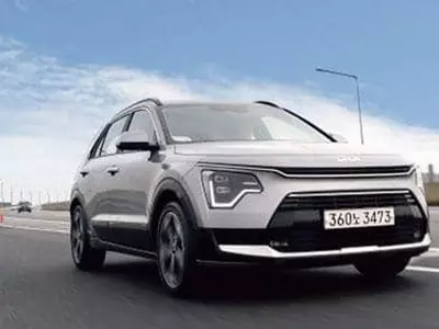 작지만 큰 매력…‘니로의 포로’가 되다