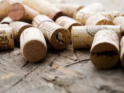 와인 네 숫자의 비밀… 빈티지의 세계