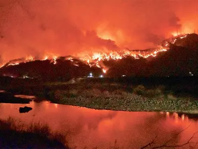 한국 울진·삼척 초대형 산불 확산… 재난사태 선포