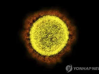 델타+오미크론 섞인 델타크론도 출현…전문가들 “큰문제 안될것”