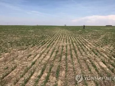 세계 2위 밀 수출국 미국도 흉작 전망…식량가격 더 오르나