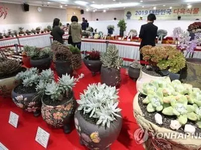 "가장 악명높은 한인 다육식물 도둑, 남아공·미국서 감옥생활"