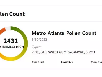 올 들어 애틀랜타 꽃가루 최고치
