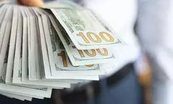 코로나 이후 급증하는 대출사기… 이런 징후면 피하라