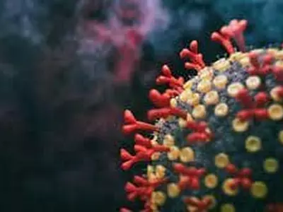 ‘스텔스 오미크론’ 비중 85% 재확산 우려