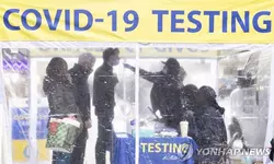 오미크론 하위변위 확산에 확진자 2주새 32%↑