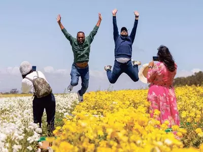 칼스배드 ‘꽃들의 향연’