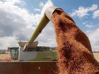 전 세계‘식량전쟁’중인데 한국 밀 자급률은 0.7%