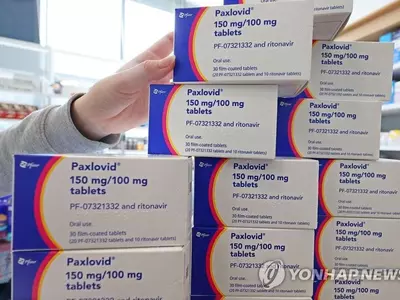 먹는 코로나 치료약 판매 약국 4만곳까지