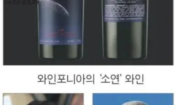 한국 첫 우주인 이름 딴 와인 ‘소연’ 출시