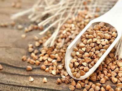 ‘쓴 메밀’, 당뇨병 예방 효과 뛰어나