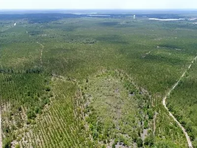 현대차 조지아공장 투자 발표 20일 확정