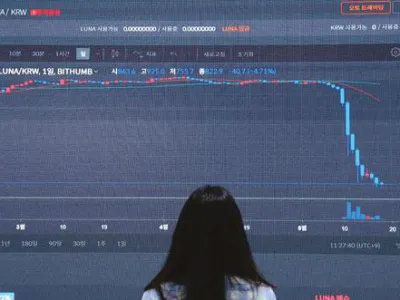 ‘루나·테라 폭락 사태’로 기관투자자들만 거액 챙겼다