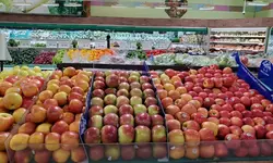 [한인마트 정보] "졸업 시즌 파티 식품 마련하기"