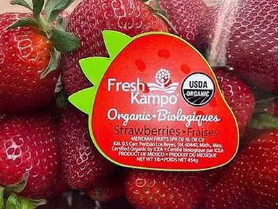 ‘프레시 캠포·HEB 딸기’ 먹지 마세요