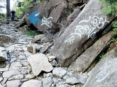 ‘청정’ 요세미티에… 30곳 스프레이 낙서 엉망진창