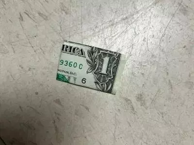 "떨어진 1달러 줍지 마세요"… 지폐서 '죽음의 마약' 검출