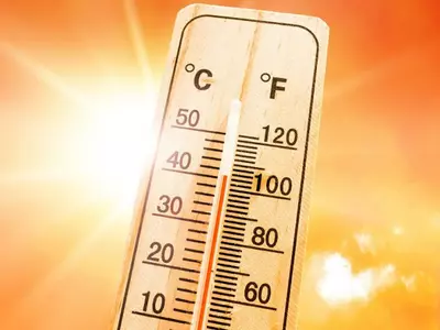 올여름 애틀랜타 폭염 심상찮다