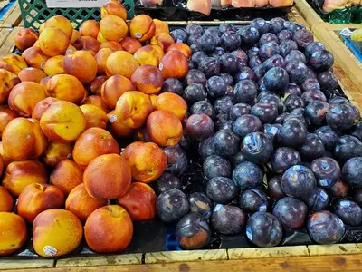 [한인마트 정보] "독립기념일 파티 준비 한인마트에서"