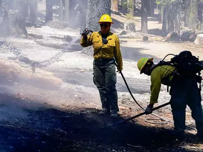 요세미티 화재 명물 세퀘이아 지켜라 진화에 혼신