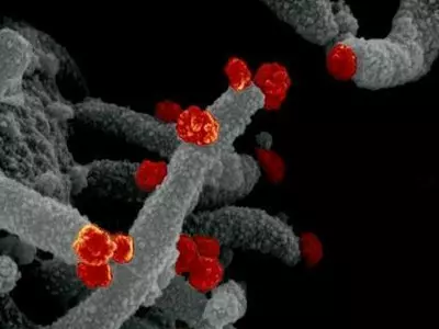 백신도 막기 힘든 오미크론, 왜 이렇게 강할까