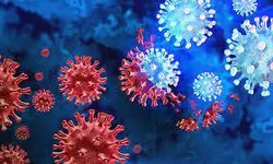 오미크론 세부 변이 2종 또 가세