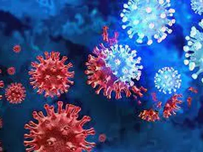 오미크론 세부 변이 2종 또 가세