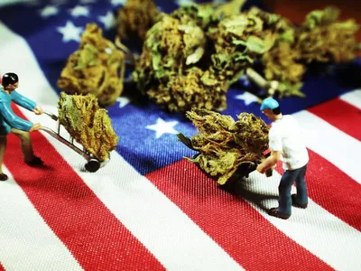 마리화나 사용 33년래 최고, 18~34세 젊은층 43% 이용