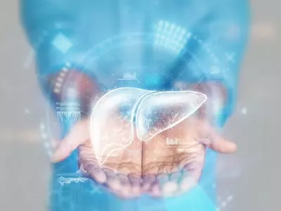 비알코올성 지방간 발생하면 폐 기능도 악화돼