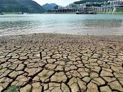 중국 가을 수확 비상…‘식량 보위전’ 돌입
