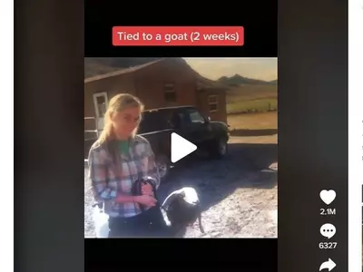 청소년 농장의 민낯…노동착취에 일 못한다고 염소에 묶기도