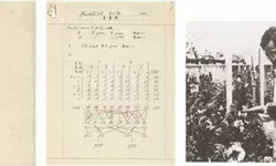 속이 꽉찬 우장춘‘무와 배추’… 쓰라린 역사의 산물