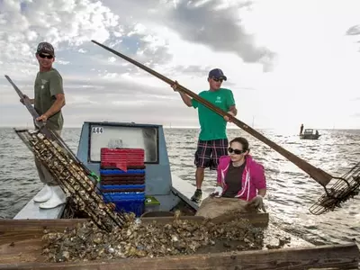 대법원, 플로리다와 물전쟁 조지아 손 들어줘