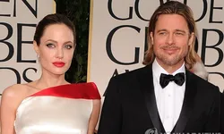 "피트, 자녀 목 졸라"…졸리, '이혼 발단' 기내 난투극 공개