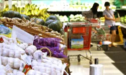 〈주말 마트정보〉 "가을철 입맛 돋구는 제철 식품 가득"