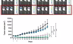 암세포 전달률 최대 100배 높인 항암바이러스 운반체 나와