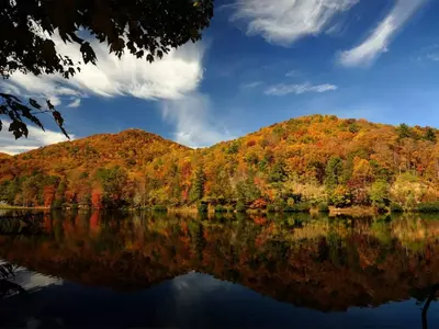 조지아 불타는 단풍 절정, 여행 코스