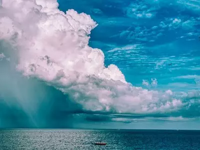 올겨울 조지아는 따뜻하고 건조하다