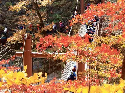 한국은 본격적인 가을 단풍철