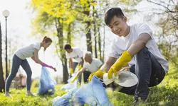 특기나 흥미, 관심사를 선택 기준으로