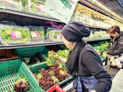 ‘상추=금(金)추됐다’