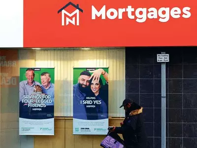 내년 컨포밍론 상한 더 높아진다