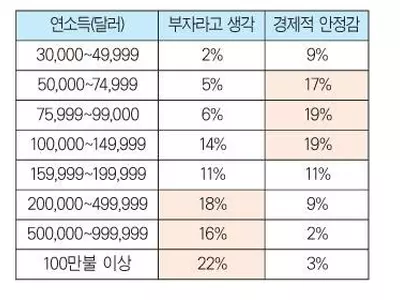 얼마 벌어야 부자?…“연 20만 달러”