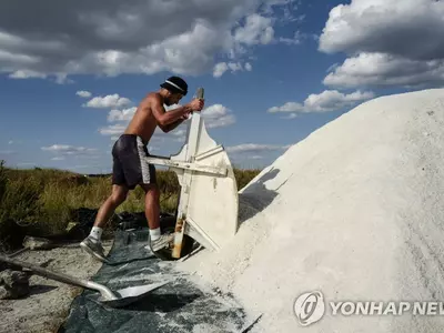 테네시 염전서 인간 심장 발견…"도대체 어디서 왔나"