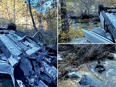 “이번엔 엘란트라가 협곡 추락 커플 살렸다”